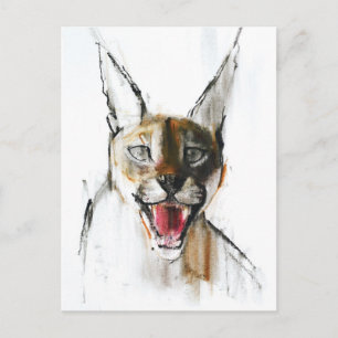 Snarl Postcard