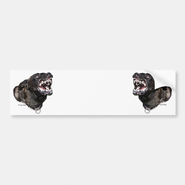 Snarling Dutch Shepherd Police Dog bumpersticker Bumper Sticker (Front)