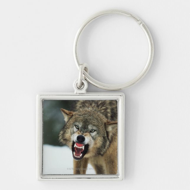 Snarling grey wolf key ring (Front)