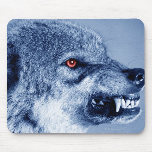 Snarling wolf (Canis Lupus), profile (Digital Mouse Pad (Front)