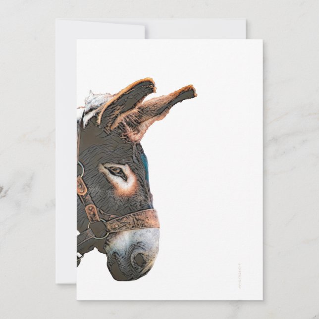 Sneak Peek - Donkey Invitation (Front)