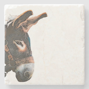 Sneak Peek - Donkey Stone Coaster