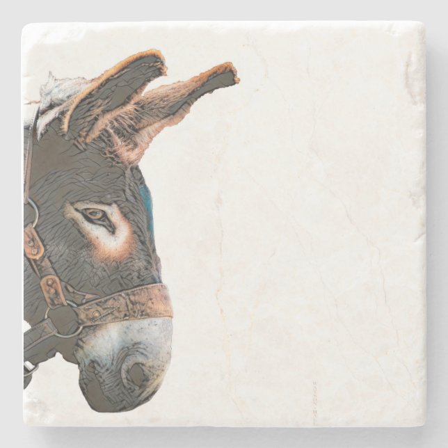 Sneak Peek - Donkey Stone Coaster (Front)