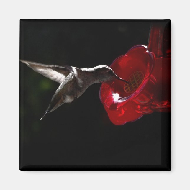 Sneaking a Midnight Snack Magnet (Front)