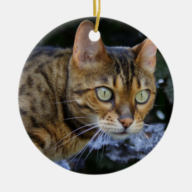 Sneaking Bengal Cat Ceramic Tree Decoration (Front)
