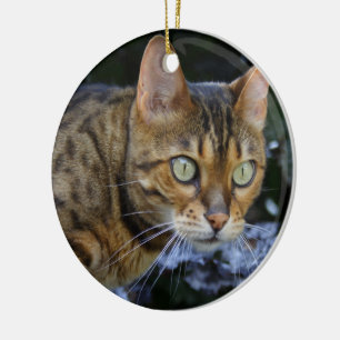 Sneaking Bengal Cat Ceramic Tree Decoration