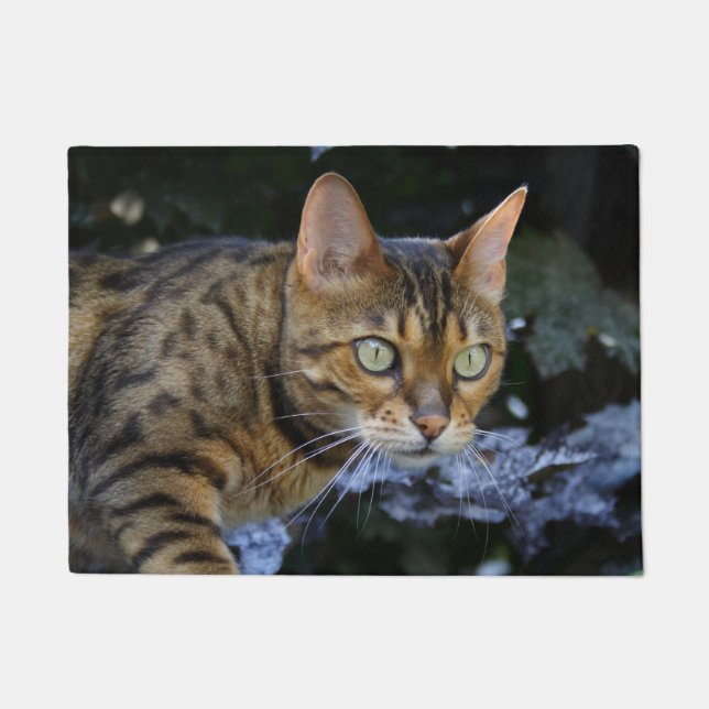 Sneaking Bengal Cat Doormat (Front)