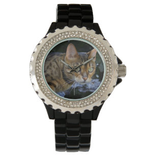 Sneaking Bengal Cat Watch