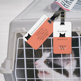 Sneaky Cat Where are We Salmon Luggage Tag
