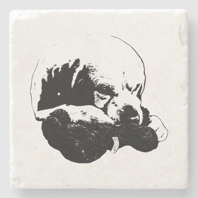 Sneaky Joy Stone Coaster (Front)