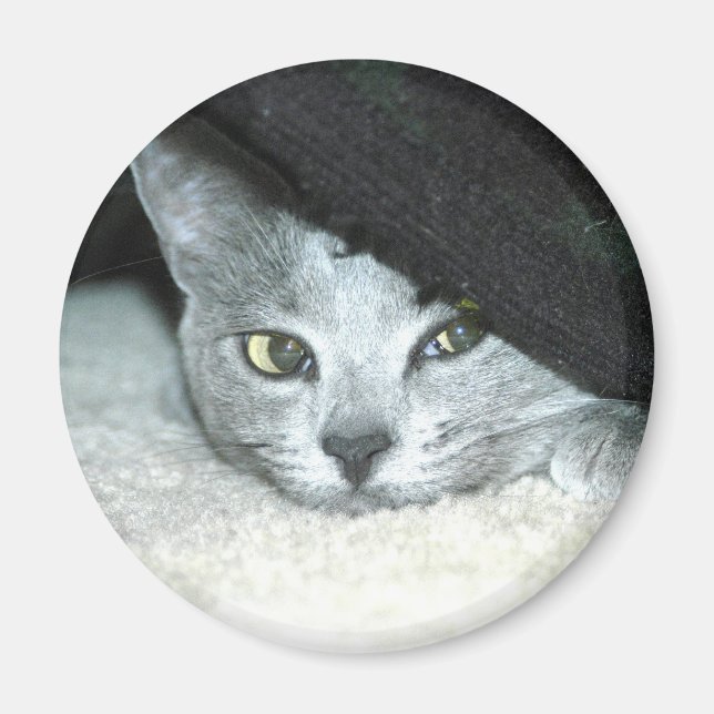 Sneaky Karma Magnet (Front)