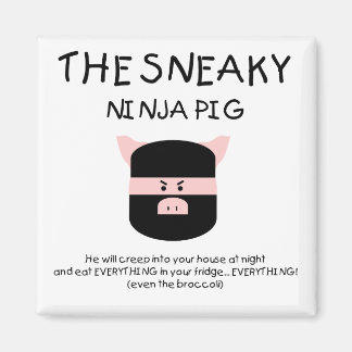 Sneaky Ninja Pig Magnet