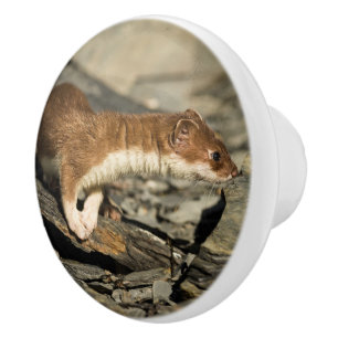 Sniffing Weasel Ceramic Knob