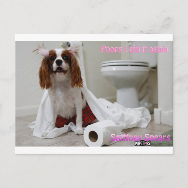 Snifney Spears Postcard (Front)