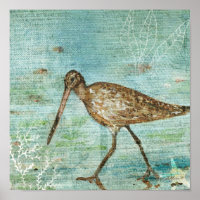 Snipe Coastal Shorebird Beach Art Print