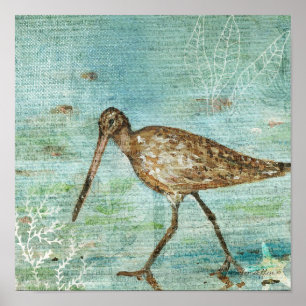 Snipe Coastal Shorebird Beach House Decor