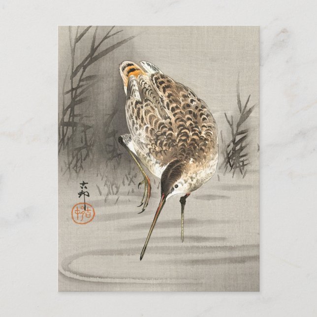 Snipe in the Water, Ohara Koson Japanese Art, Bird Postcard (Front)