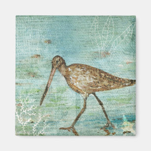 Snipe Shorebird Beach House Decor Magnet