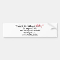Snitch This! -Bumper Sticker