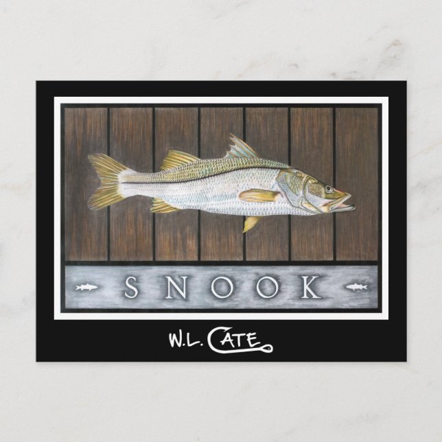 Snook Postcards (Front)