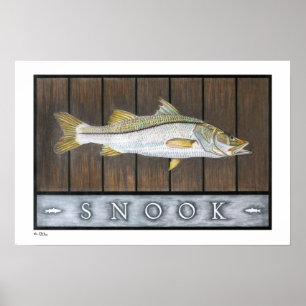 Snook Posters, Prints and Frames