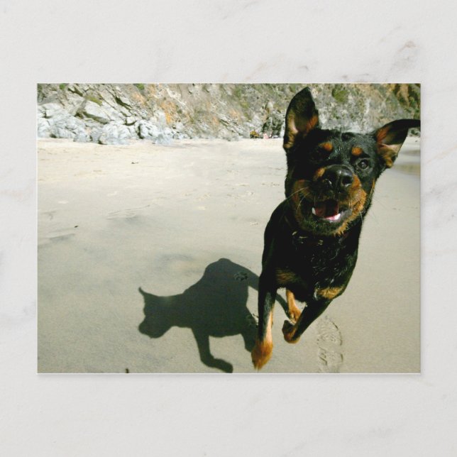 Snoop Postcard (Front)