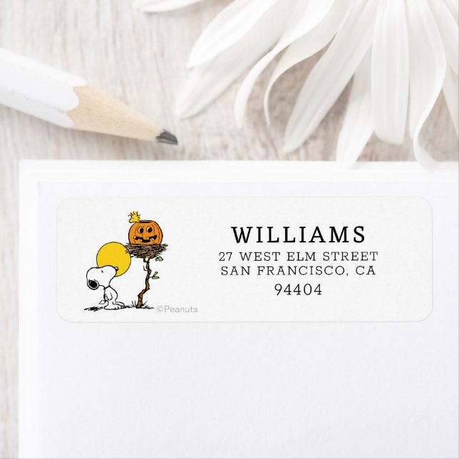Snoopy & Woodstock Nest With Jack O' Lantern (Insitu)