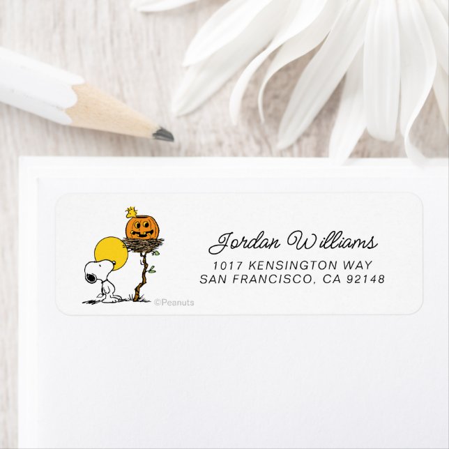 Snoopy & Woodstock Nest With Jack O' Lantern (Insitu)