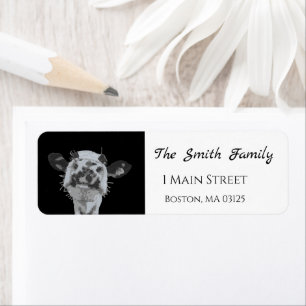 Snoot Boop, Animal Return Address