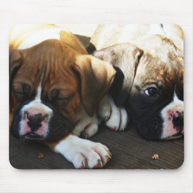 Snoozing boxer pups mousepad (Front)
