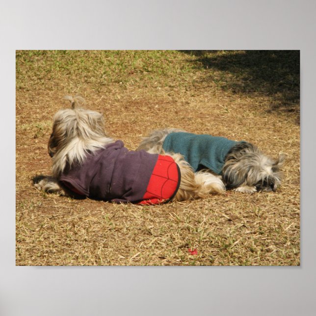 Snoozing in Nong Khai Poster (Front)