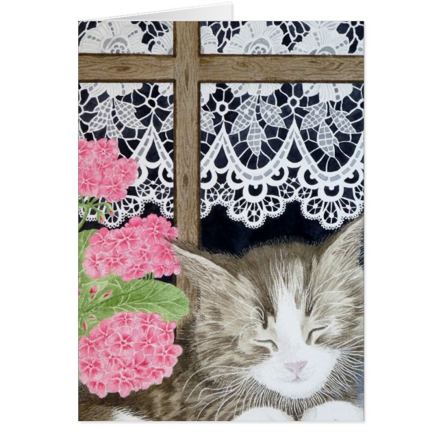 Snoozing in the sun (Front)