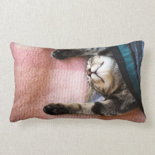 Snoozing Kitten Lumbar Cushion