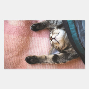 Snoozing Kitten Rectangular Sticker