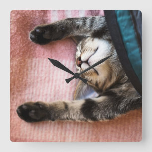Snoozing Kitten Square Wall Clock