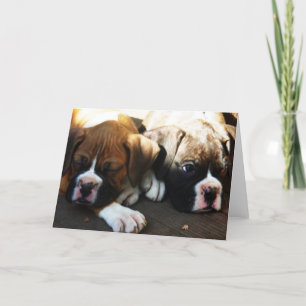 snoozing pups greeting card