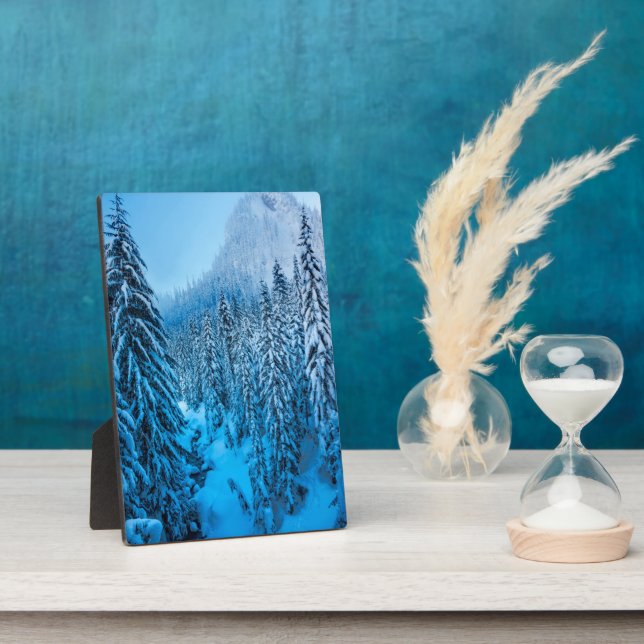 Snoqualmie Pass, Washington State. Plaque (Side)