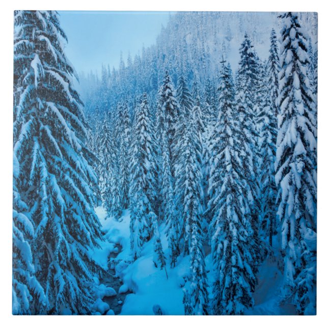 Snoqualmie Pass, Washington State. Tile (Front)