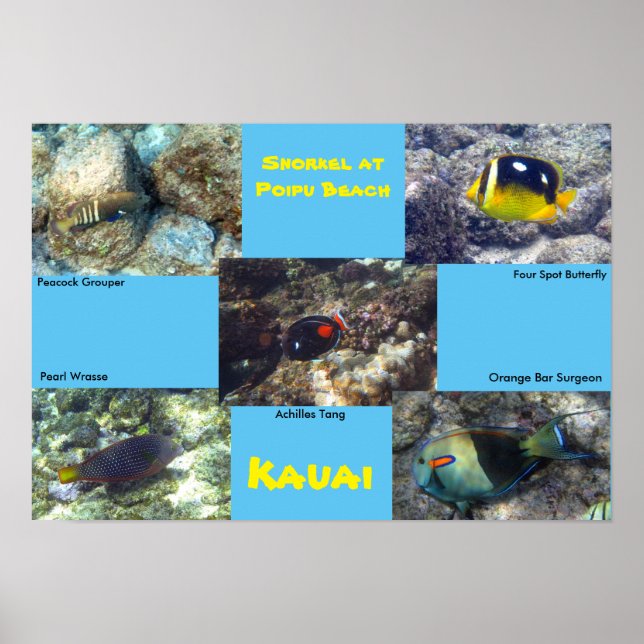 Snorkel at Poipu Beach Poster (Front)