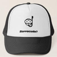 Snorkel barracuda