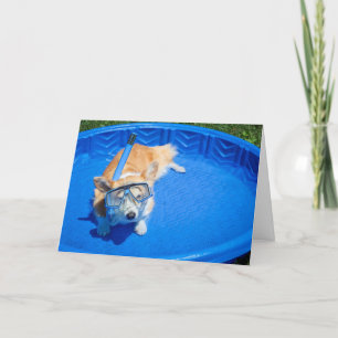 Snorkel Corgi birthday greeting card