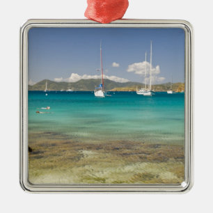 Snorkelers in idyllic Pirates Bight cove, Bight, Metal Tree Decoration