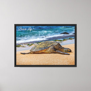 Snorkelling at Hanauma Bay, O'ahu Canvas Print