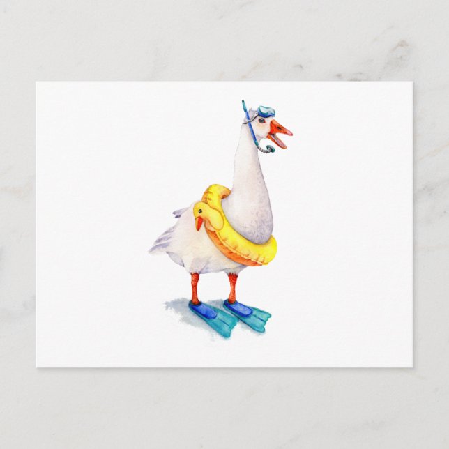 Snorkelling White Goose Postcard (Front)