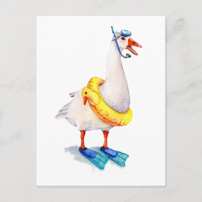 Snorkelling White Goose Postcard (Front)