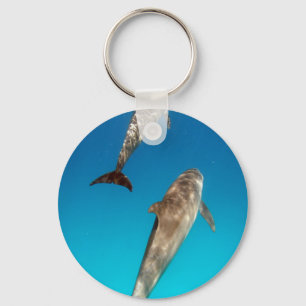 snorkelling with dolphins key ring