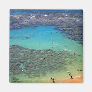 Snorklers at Hanauma Bay, Oahu, Hawaii Magnet