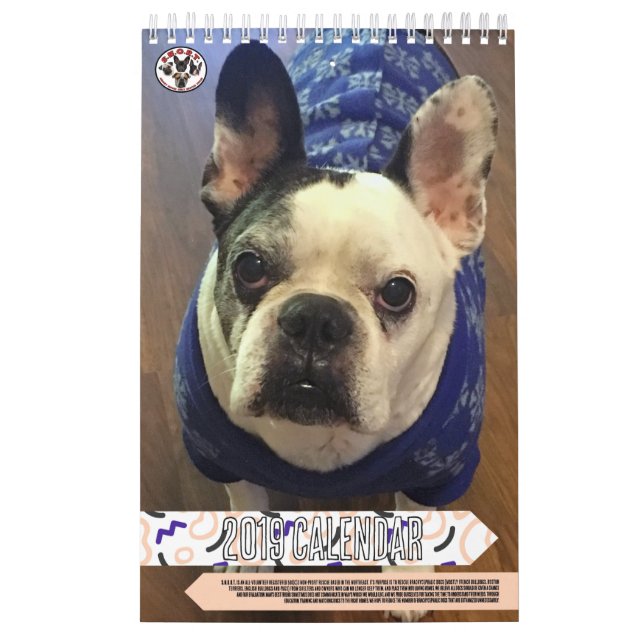 SNORT RESCUE 2019 CALENDAR (Cover)