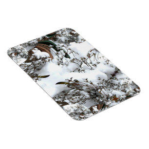 Snow Abstract Magnet