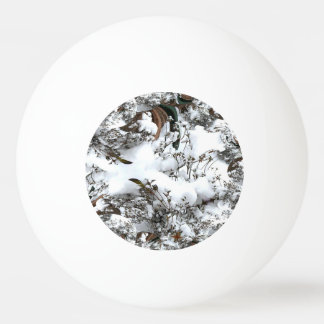 Snow Abstract Ping Pong Ball
